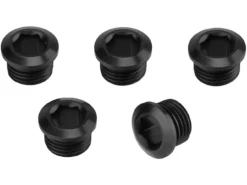 Rotor Kettenblattschrauben CX1