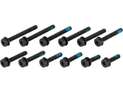 MAGURA Flatmount Schraubenset -Deutschland Glisse Vélo Verkaufs-Shop 244650