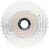 Rotor 12-fach Kassette -Deutschland Glisse Vélo Verkaufs-Shop 299917