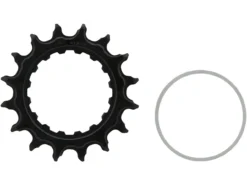 SRAM Kettenblatt X-Sync 2 Eagle Direct Mount Für Bosch Gen2 -Deutschland Glisse Vélo Verkaufs-Shop 391049