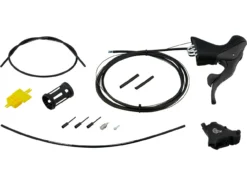 Campagnolo® Record Scheibenbremse 12s Hydr. Ergopower Schalt-/Bremsgriff 2021 -Deutschland Glisse Vélo Verkaufs-Shop 422638