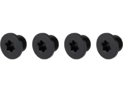 Campagnolo® Record Kettenblatt 12-fach, 4-Arm, 145 Mm Lochkreis -Deutschland Glisse Vélo Verkaufs-Shop 442381