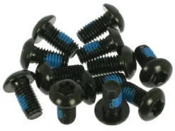 Hayes Torxschrauben T25